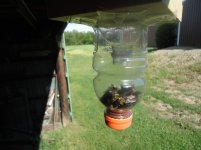 Carpenter Bee Trap 008.jpg