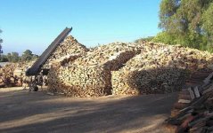 Firewood pile 2.jpg