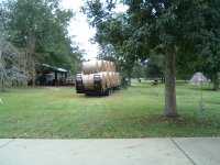 Hay 004.jpg