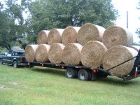 Hay 005.jpg