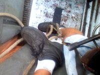 Hook Ladders and Harness Use (7).jpg