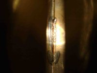 inside A.jpg