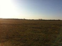 Field2.jpg