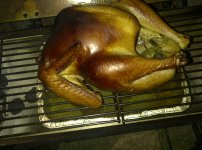 Springfield-20120407-00054.jpg