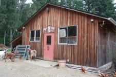 CerrieFarmPics2011 166.jpg