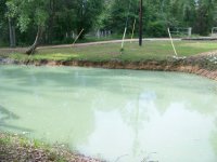 4-26-12 Far Shore of Pond.jpg