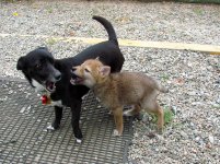 DSC05027.jpg