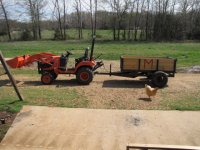 BX Dump Trailer and Baby Chicks 001aa.jpg