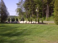 Trees planted and rocks placed 120515.jpg