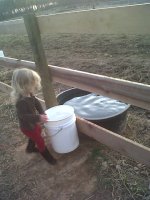 IMG-20120227-00277.jpg