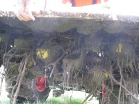 IMG_0042_small.jpg