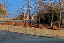 Compost2 1_16_2011.jpg