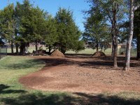 Compost3 20 Oct 2011.JPG