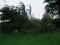 DSCF1031 (Copier).JPG
