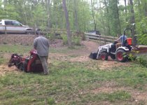 stump grinding.jpg