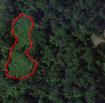Food Plot.jpg