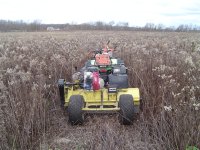 2009-10-31 flail pic (Large).jpg