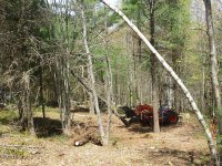 322228d1370950531-whats-your-technique-removing-trees-i-g4zgb4g-l.jpg
