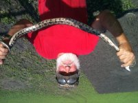 chicken snake that bit me.jpg