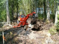 big stump or a ck20.JPG