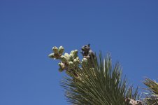 IMG_7033.jpg