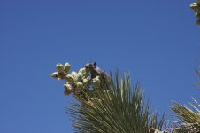 IMG_7038.jpg
