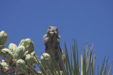 IMG_7048.jpg