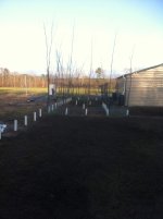 2012 Garden 2.jpg