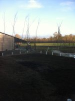2012 Garden 3.jpg