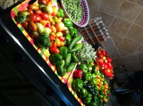 Bounty of last weekend.jpg