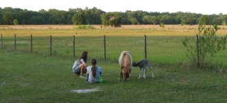 IMG_8811a.jpg
