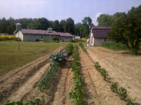ForumRunner_20120520_203452.png