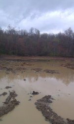 pond 1.jpg