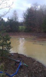 pond 3.jpg