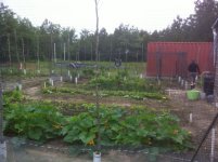 Garden1.JPG