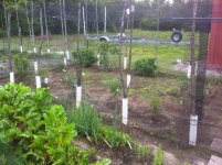 Garden2.jpg