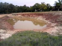 PondDown1.jpg