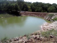 GreenUp1.jpg