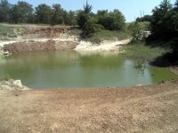 GreenUp2.jpg