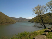 ForumRunner_20120413_192248.png