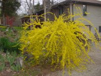 DSC00018.JPG