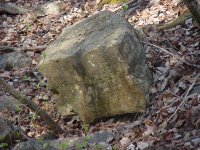 DSC00038.JPG