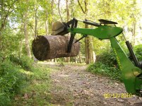 Extra Large Maple..5FT.1'' Long!.jpg