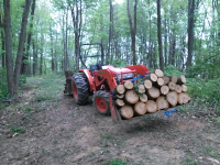 cherry firewood2.png