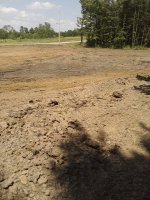 pond 10.jpg