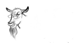 Billygoat.jpg