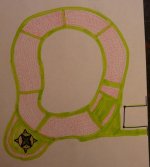 proposed paver drive.jpg