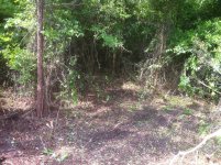 photo-Closer After view.jpg