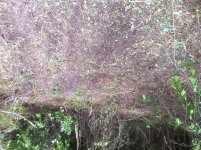 photo-ground view.jpg