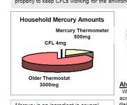 CFL's and mercury thermometer.JPG